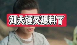 刘大锤爆料最新爆料